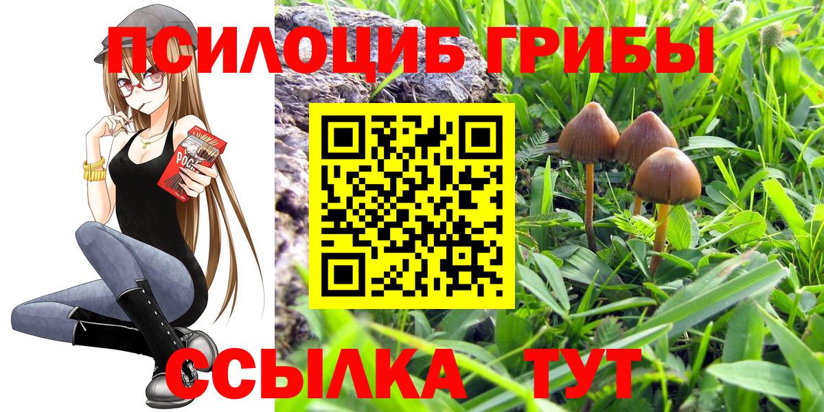 Алапаевск  Псилоцибиновые грибы мухоморы  Вход с VPN  Галлюциногенные грибы мицелий 