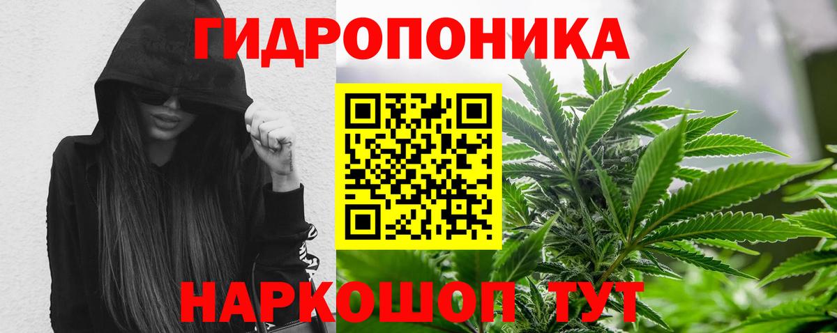 МАРИХУАНА конопля Алапаевск